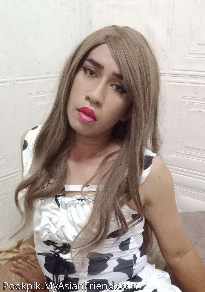 Pookpik's personal blog photo 1 added Saturday the 15th of November 2025