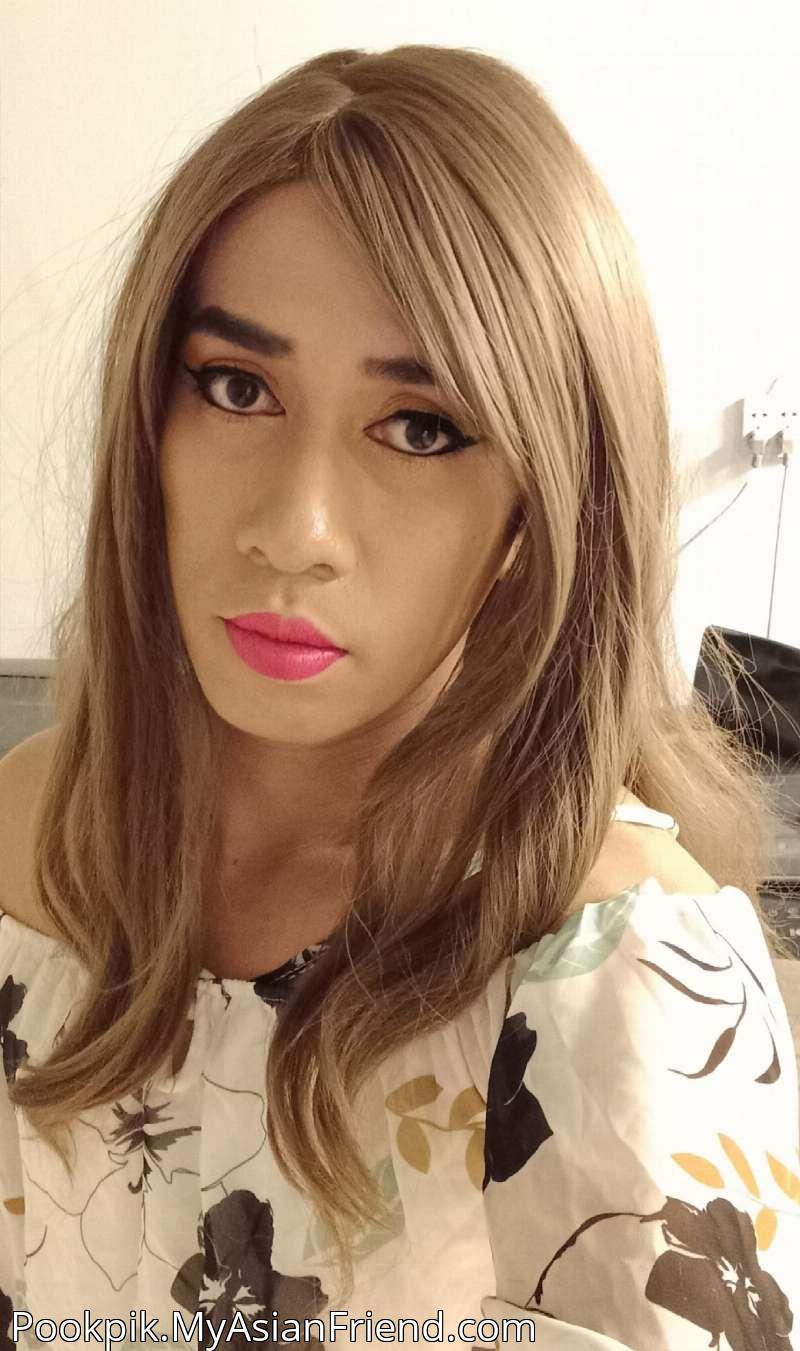 Pookpik's personal blog photo 1 added Saturday the 22nd of November 2025