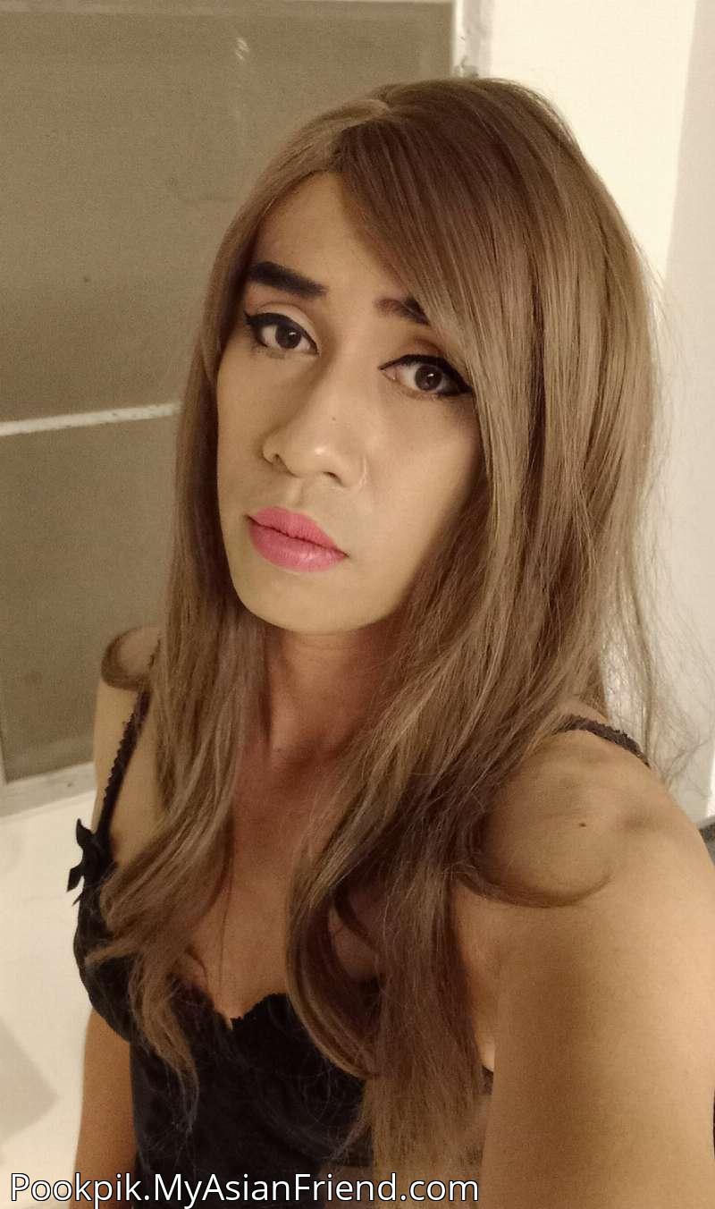 Pookpik's personal blog photo 1 added Tuesday the 25th of November 2025